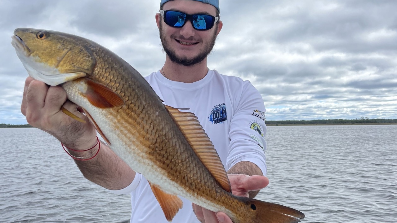 Photo of Others in Steinhatchee