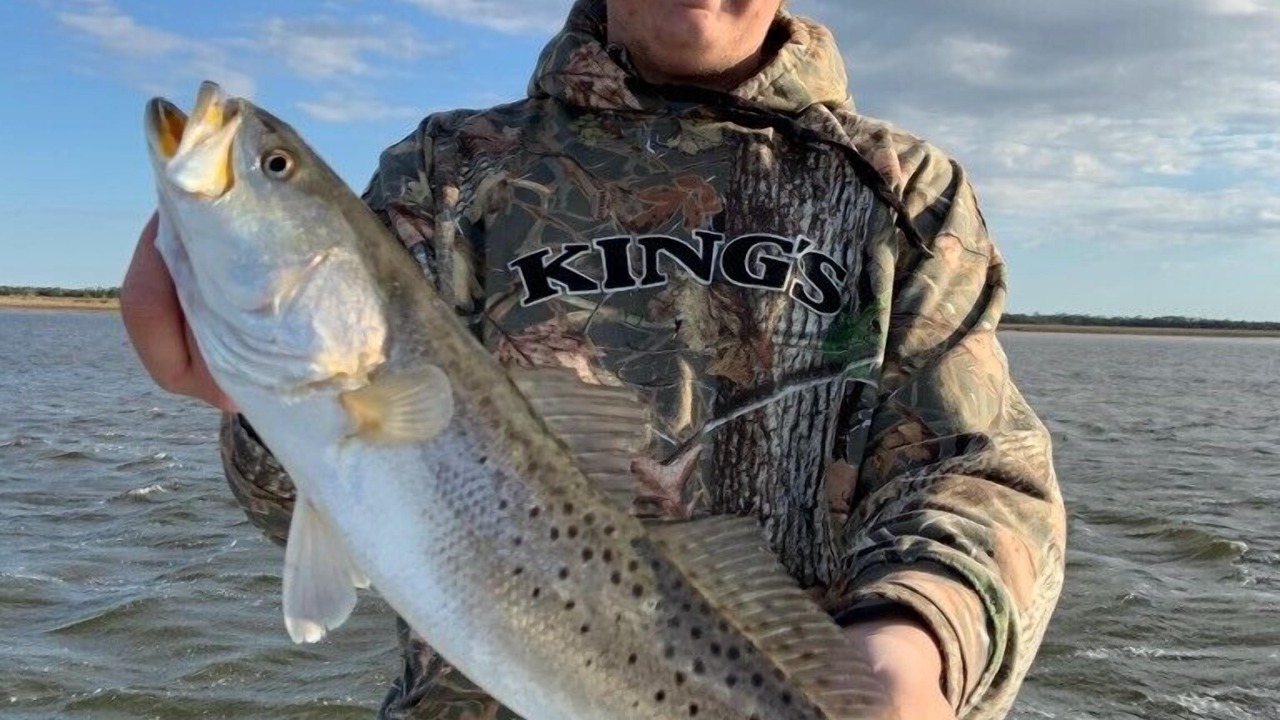 Photo of Others in Steinhatchee