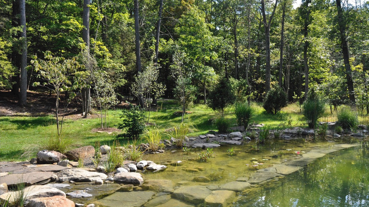 Photo of Outdoor in Mount Marion