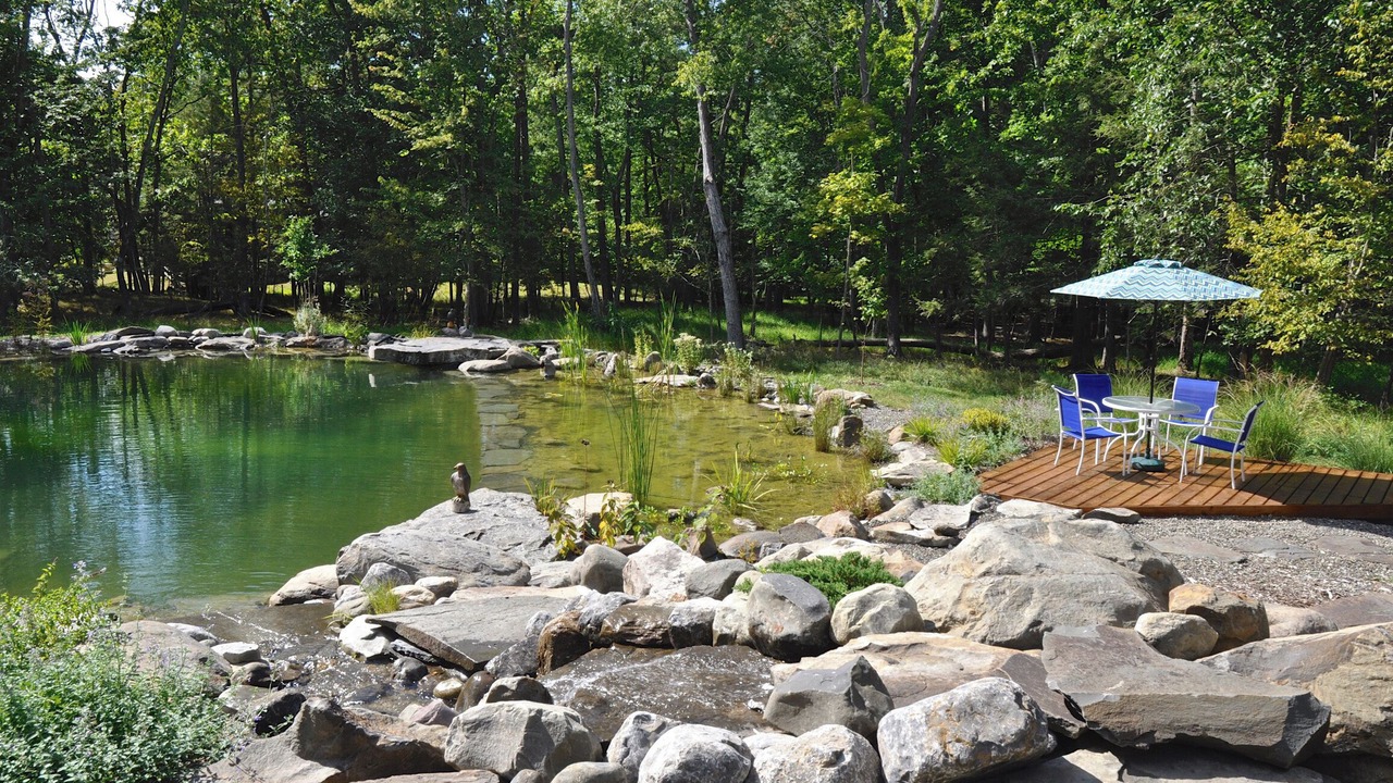 Photo of Outdoor in Mount Marion