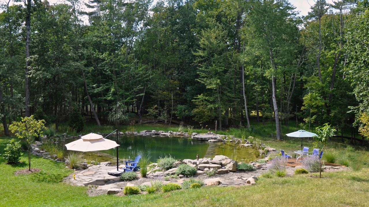 Photo of Outdoor in Mount Marion