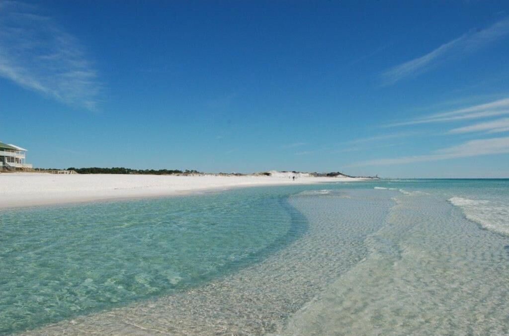 Photo of Others in Gulf Trace