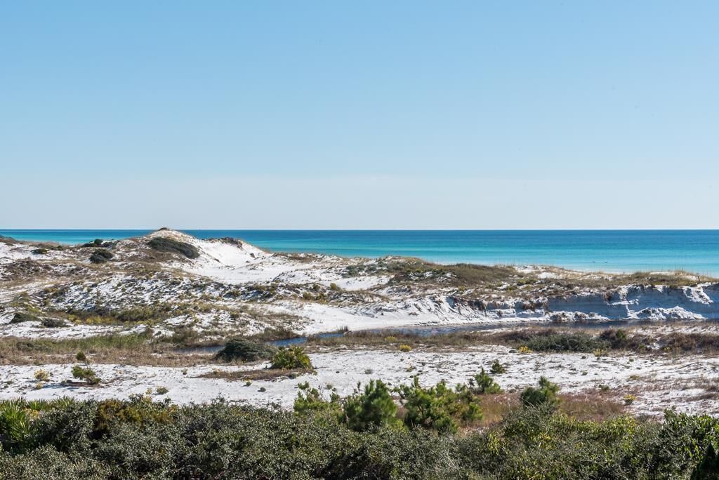 Photo of Others in Gulf Trace