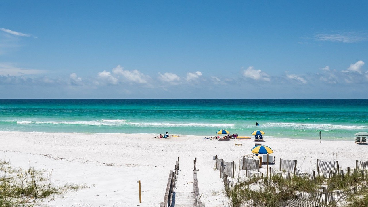 Photo of Others in Gulf Trace