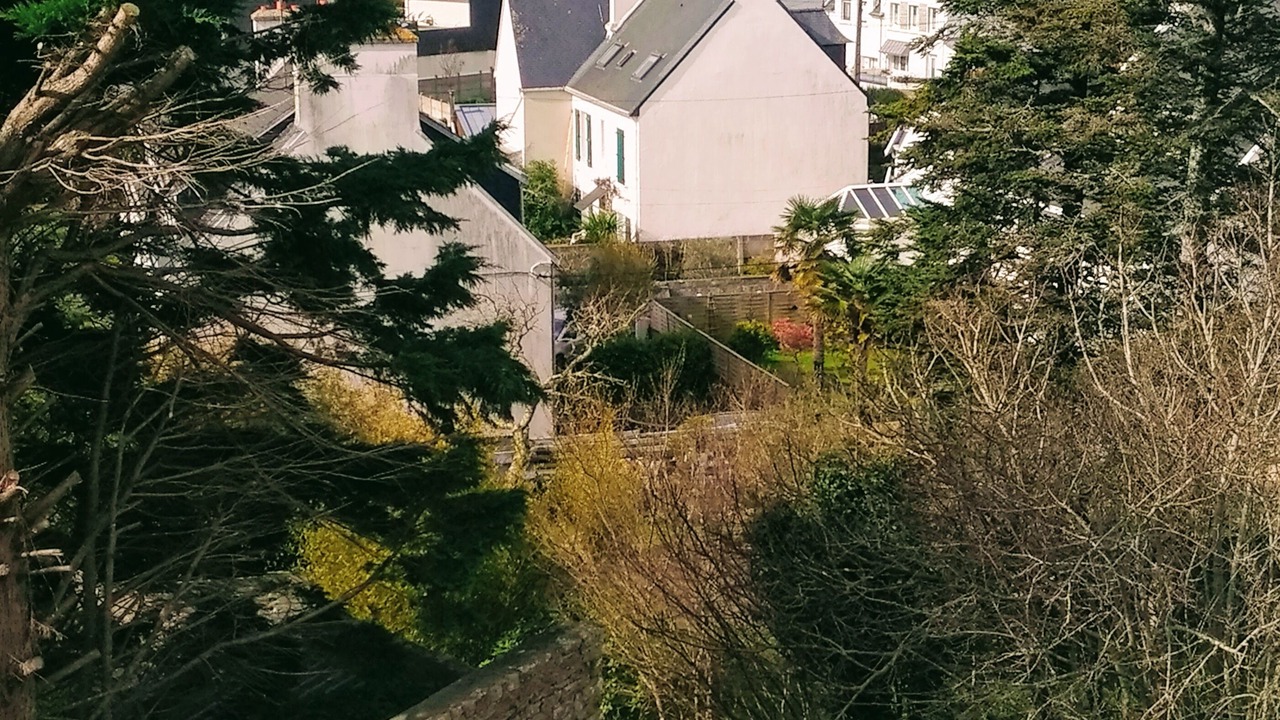 Photo of Others in Concarneau