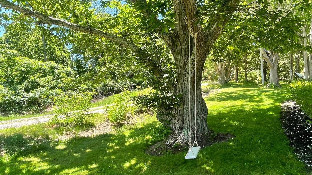 Photo of Others in West Barnstable
