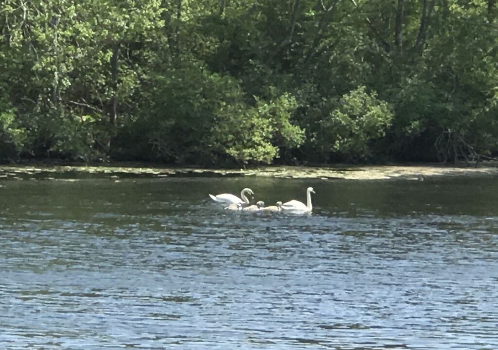 Photo of Others in Riverhead