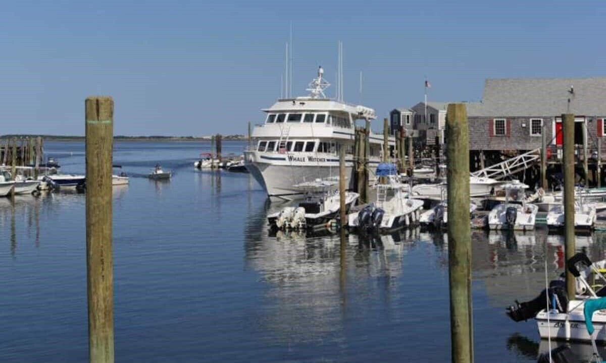 Photo of Others in Barnstable