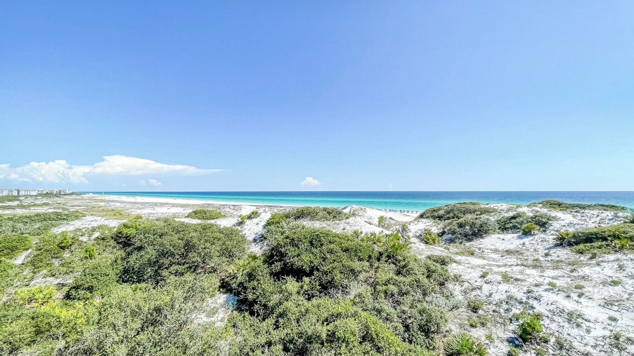 Photo of Others in WaterSound Beach