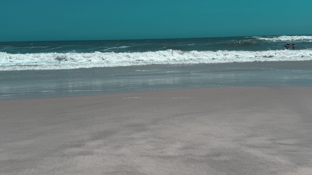Photo of Others in Assateague Pointe