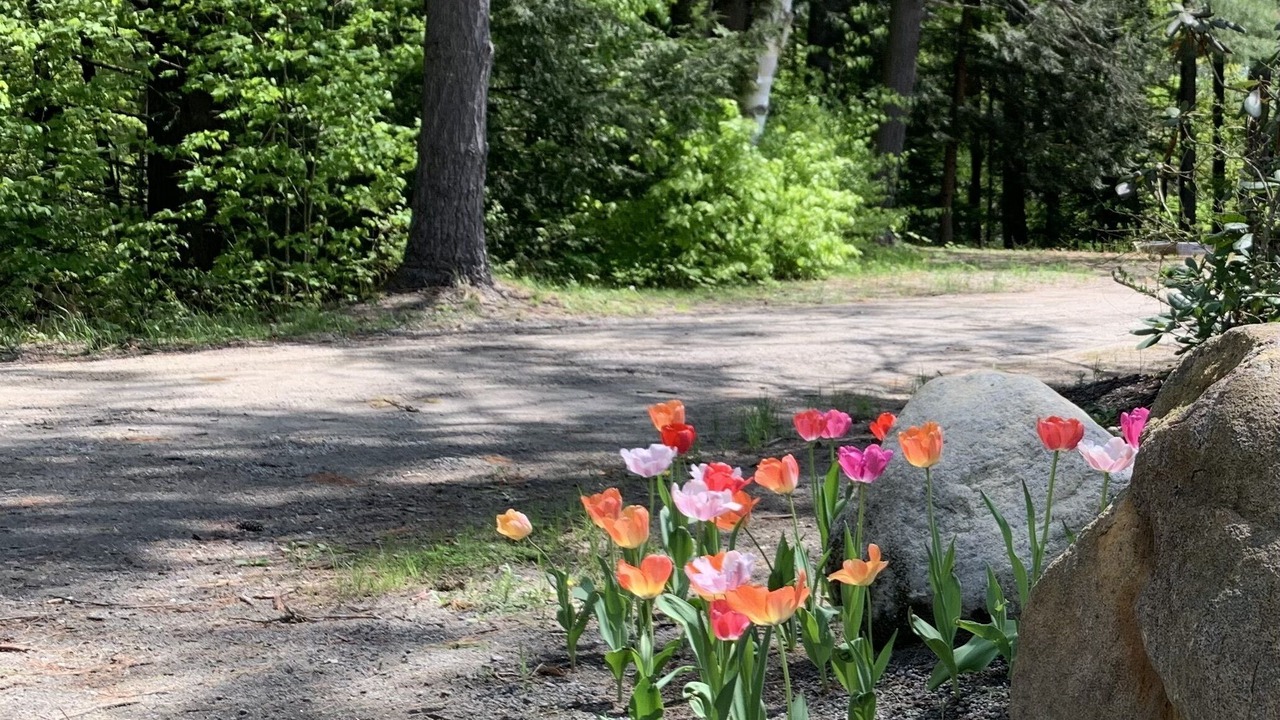 Photo of Outdoor in Chestertown