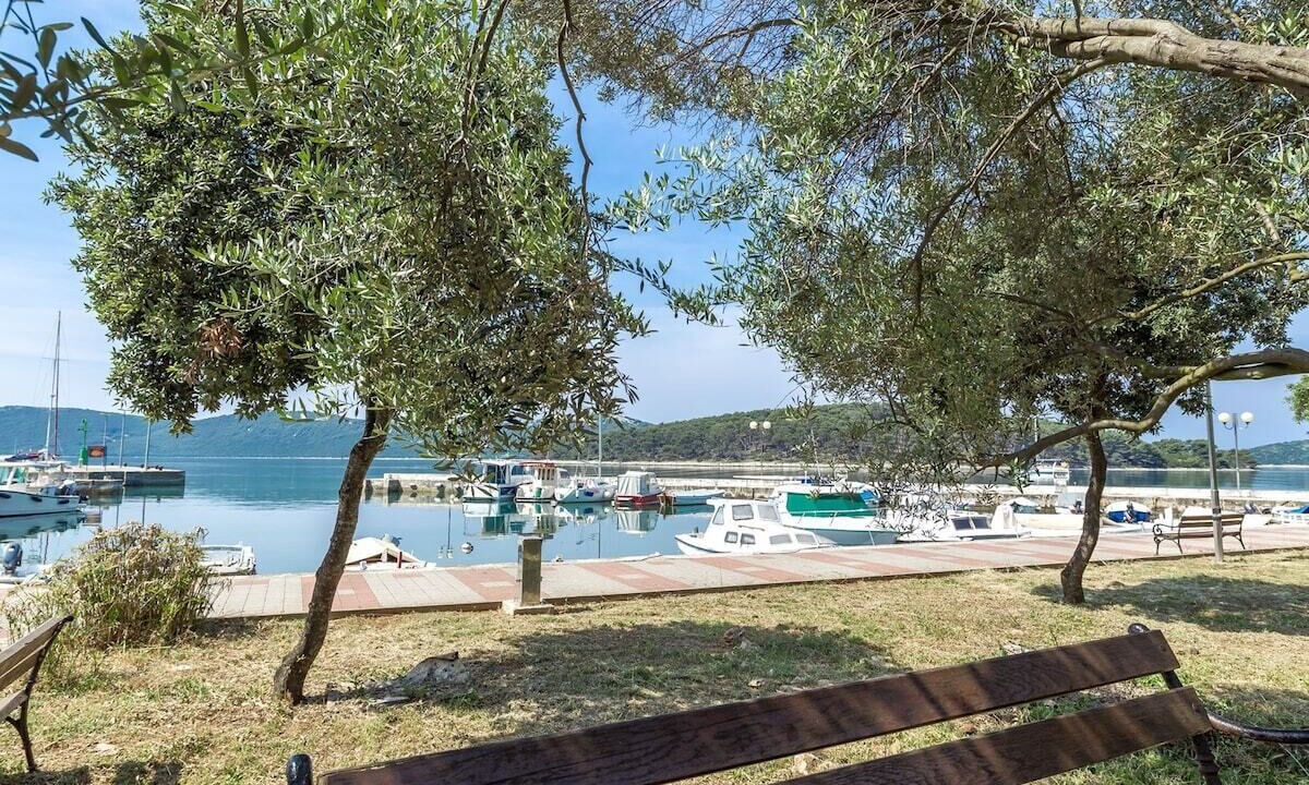 Photo of Outdoor in Molat