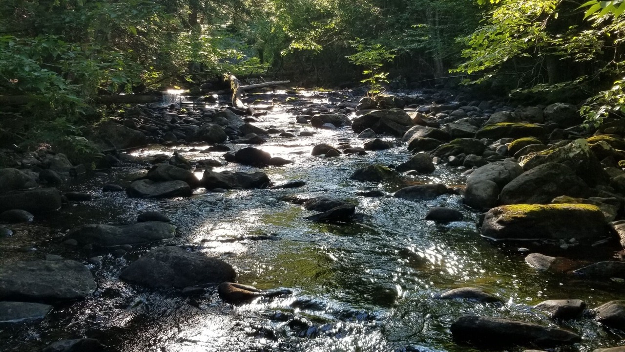 Photo of Outdoor in Crown Point
