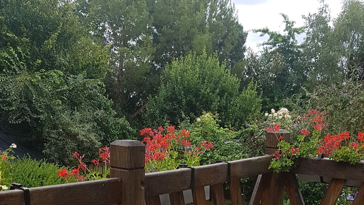 Photo of Outdoor in Ploermel