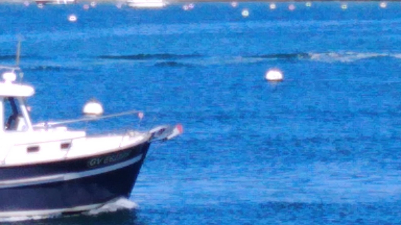 Photo of Others in Pont-l'Abbe