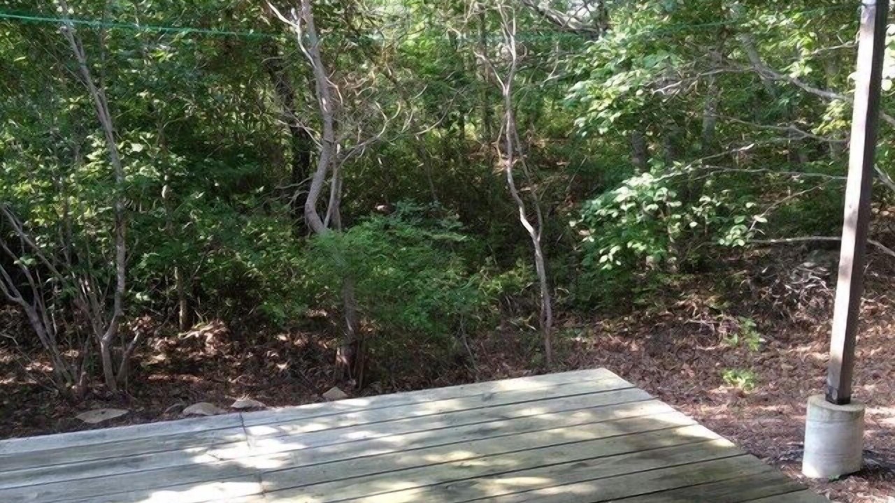 Photo of Others in Aquinnah