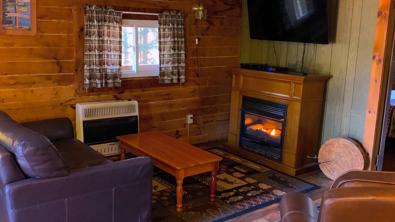 Photo of Livingroom in Chestertown