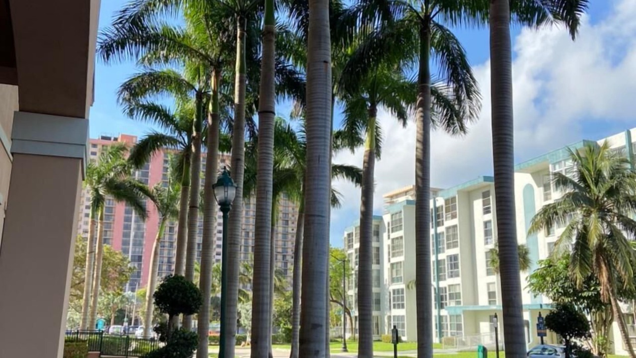 Photo of Outdoor in Sunny Isles Beach
