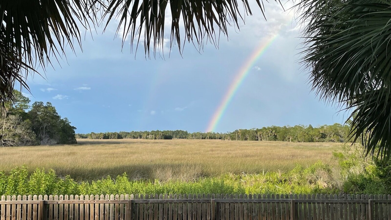 Photo of Outdoor in Dixie Shores