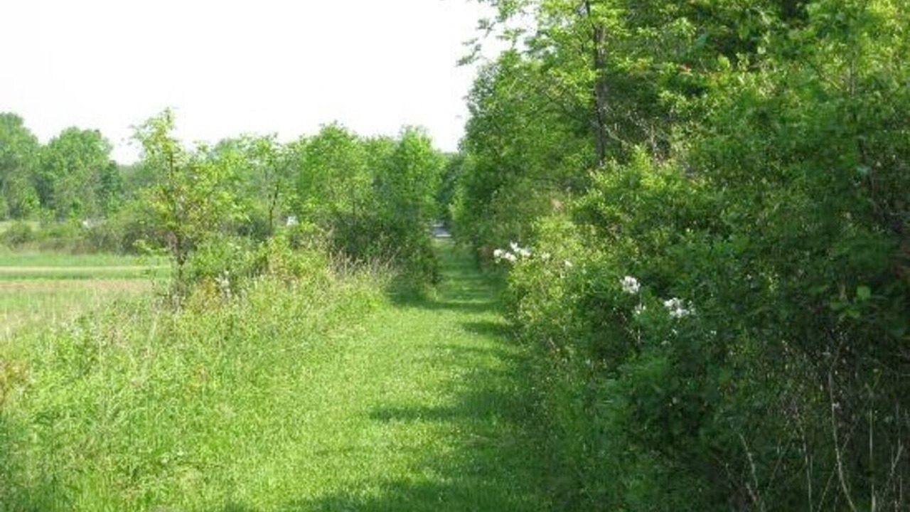 Photo of Others in Lodi
