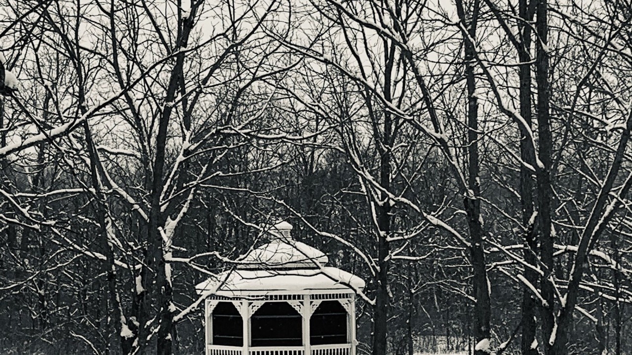 Photo of Outdoor in Lodi