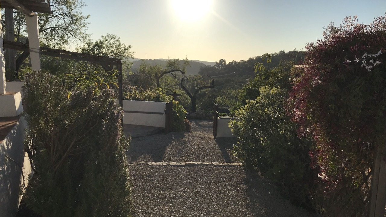 Photo of Others in Fonte do Bispo