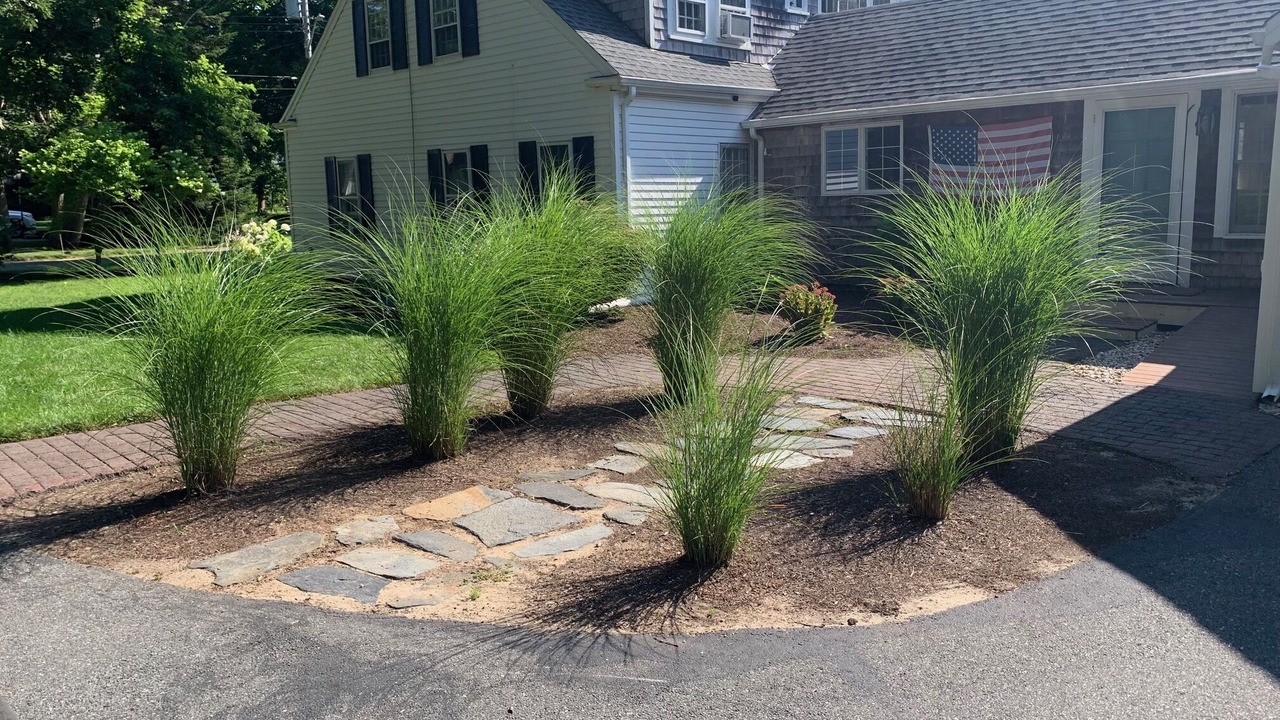 Photo of Outdoor in Harwich Center