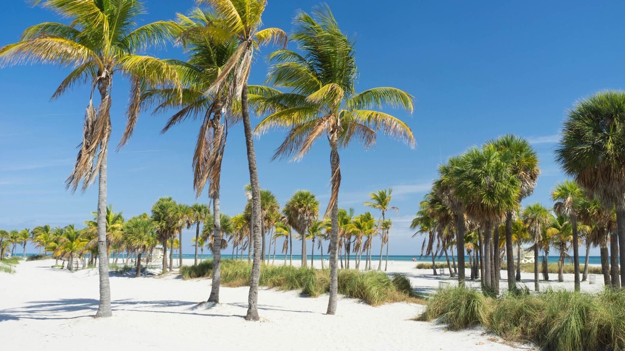 Photo of Others in Key Biscayne
