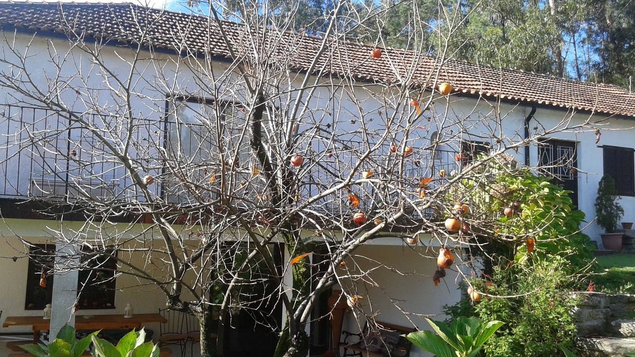 Photo of Outdoor in Aldreu