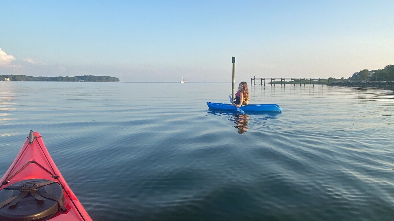 Photo of Others in Bohannon
