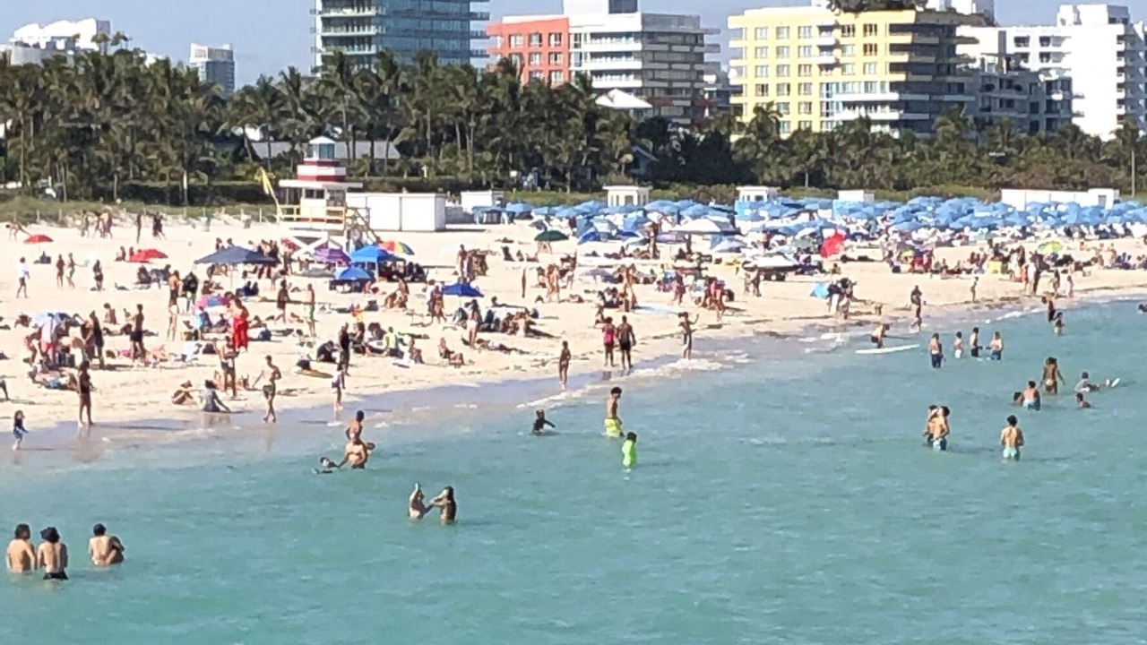 Photo of Others in South of Fifth