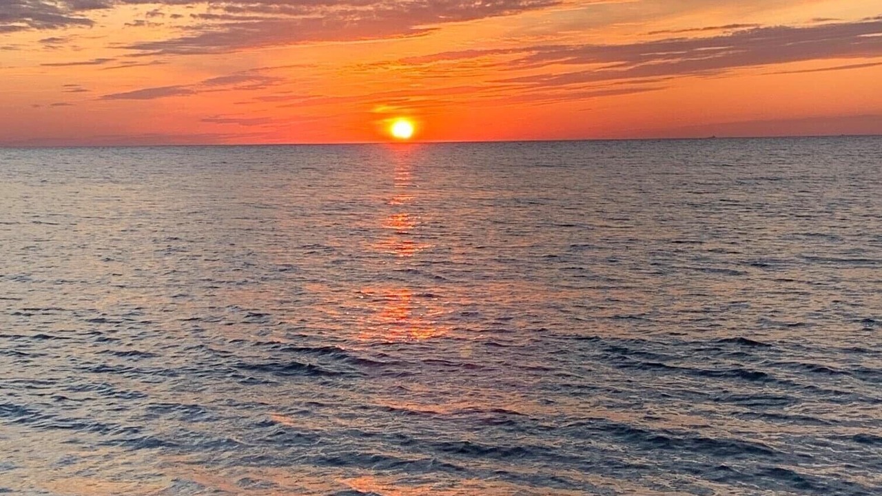 Photo of Others in North Cape May