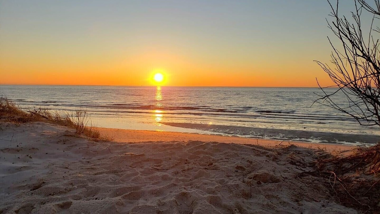 Photo of Others in North Cape May