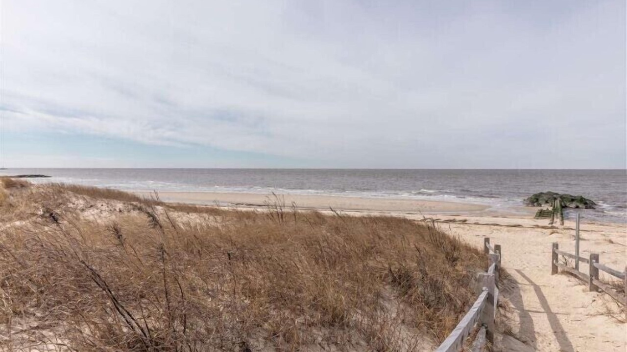 Photo of Others in North Cape May