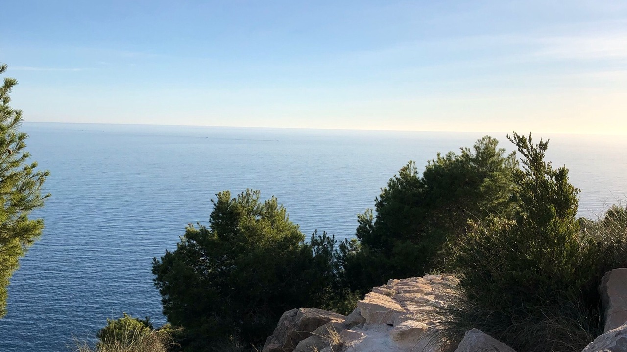 Photo of Outdoor in L'Alfas del Pi