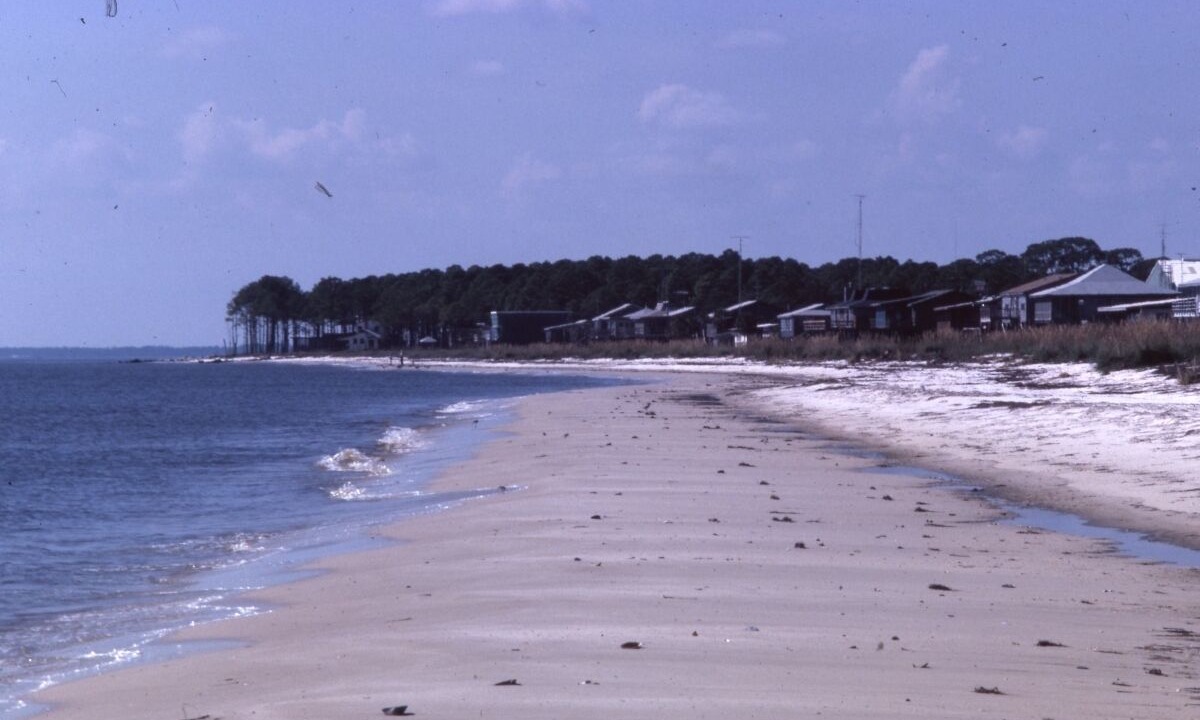 Photo of Others in Alligator Point