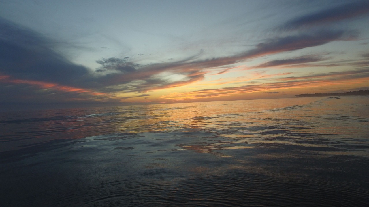 Photo of Others in Alligator Point