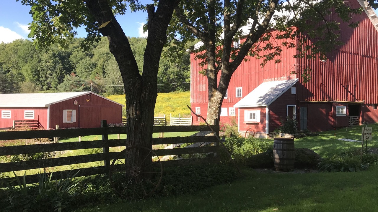 Photo of Outdoor in Bovina Center
