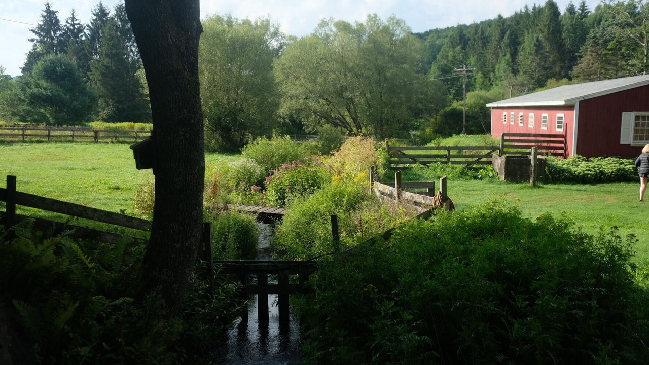 Photo of Outdoor in Bovina Center