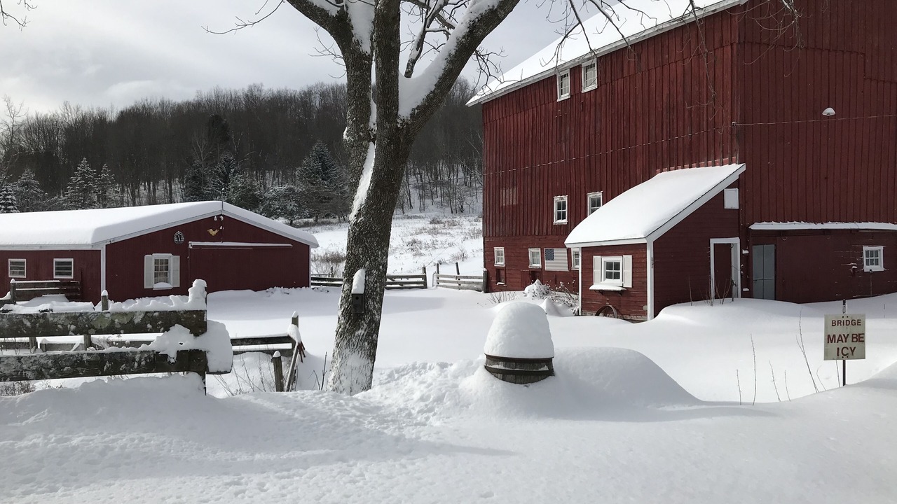 Photo of Outdoor in Bovina Center