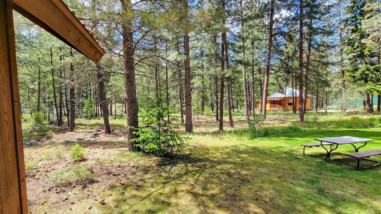 Photo of Outdoor in Mazama