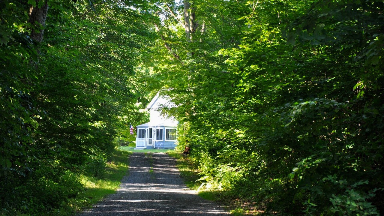 Photo of Others in West Stockbridge
