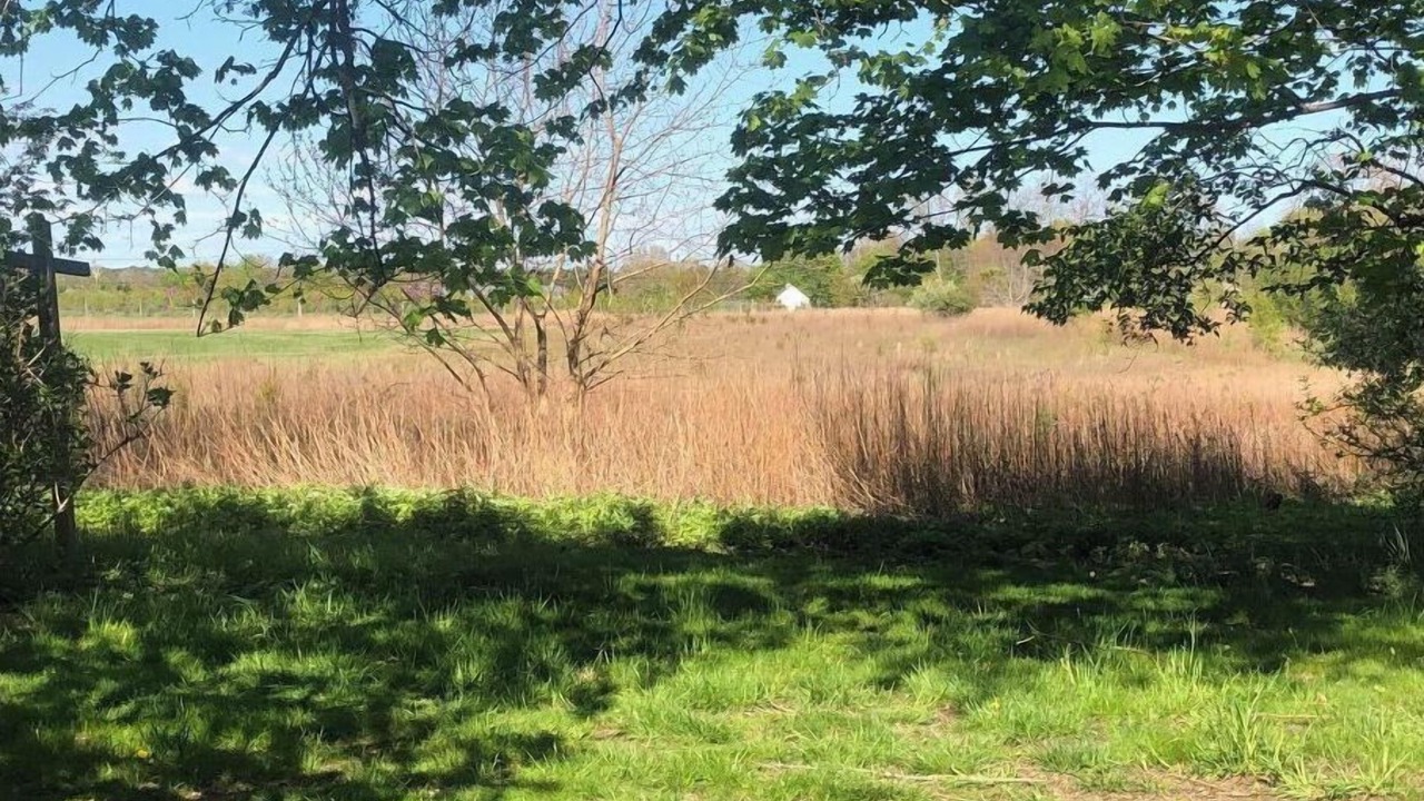 Photo of Others in Baiting Hollow