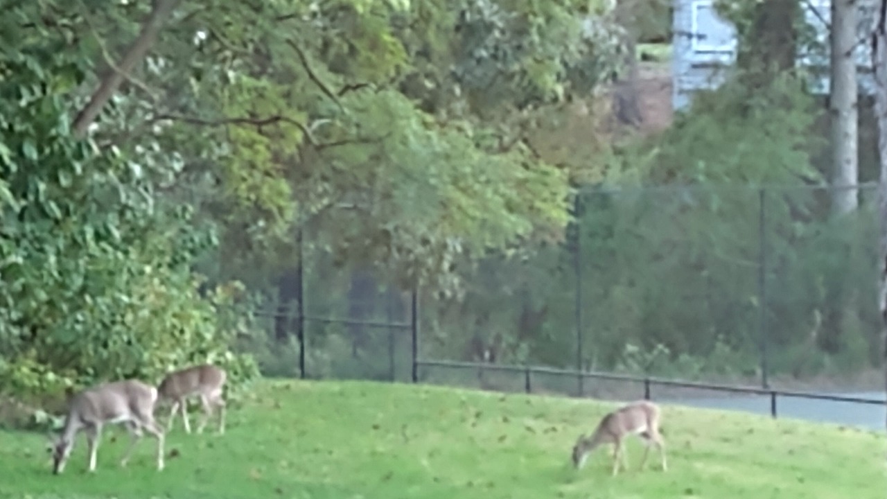 Photo of Others in Kingsmill