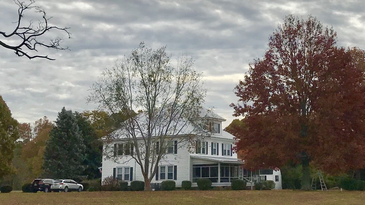 Photo of Others in Deltaville