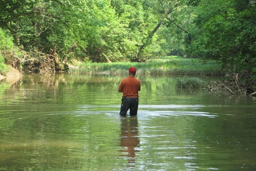 Photo of Others in Jonesville