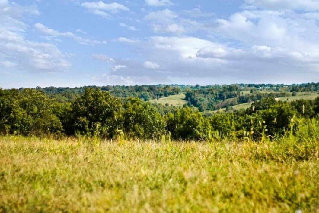 Photo of Others in Jonesville