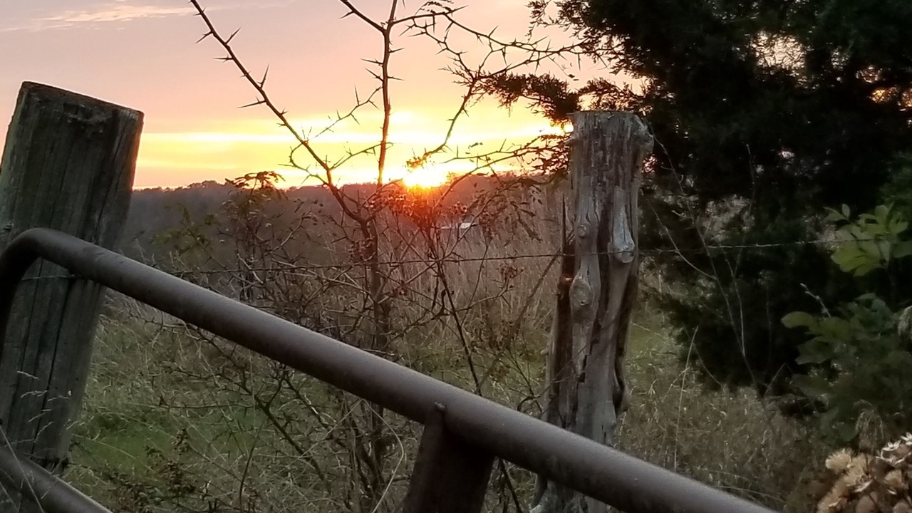 Photo of Outdoor in Rutland