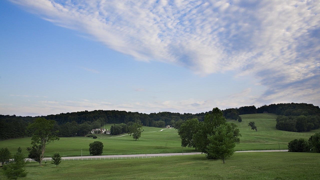 Photo of Others in Paoli