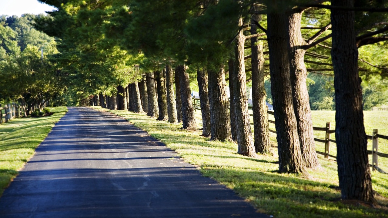 Photo of Outdoor in Paoli